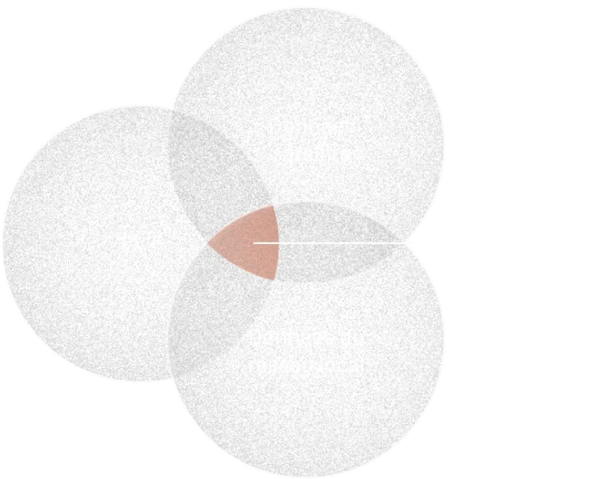 AI, Satellite Data, Local Network Data